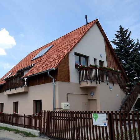 Arany Szolo Wellness Apartmanhaz ヘーヴィーズ エクステリア 写真