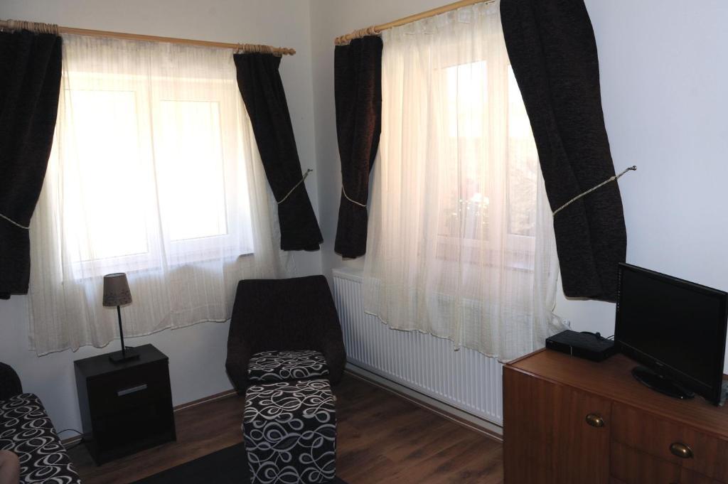 Arany Szolo Wellness Apartmanhaz ヘーヴィーズ 部屋 写真