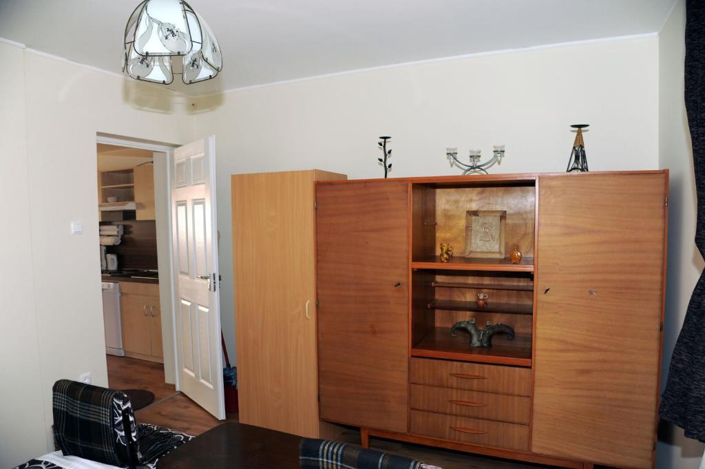 Arany Szolo Wellness Apartmanhaz ヘーヴィーズ 部屋 写真