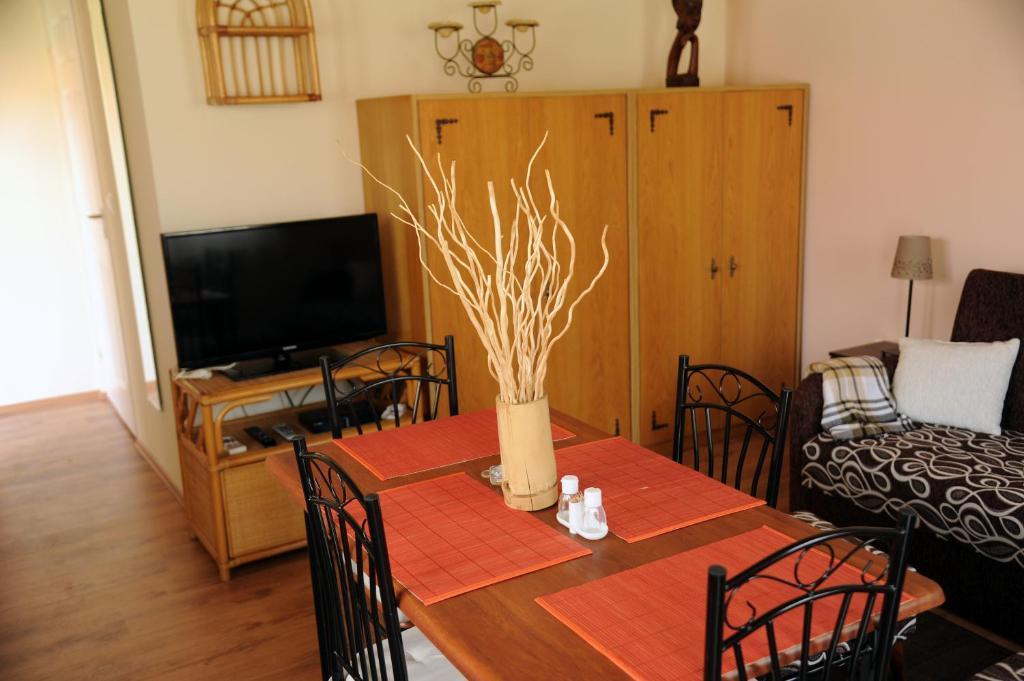 Arany Szolo Wellness Apartmanhaz ヘーヴィーズ 部屋 写真