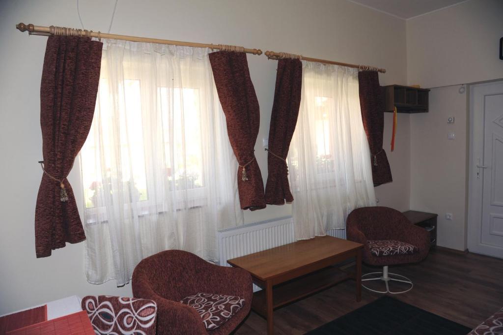 Arany Szolo Wellness Apartmanhaz ヘーヴィーズ 部屋 写真