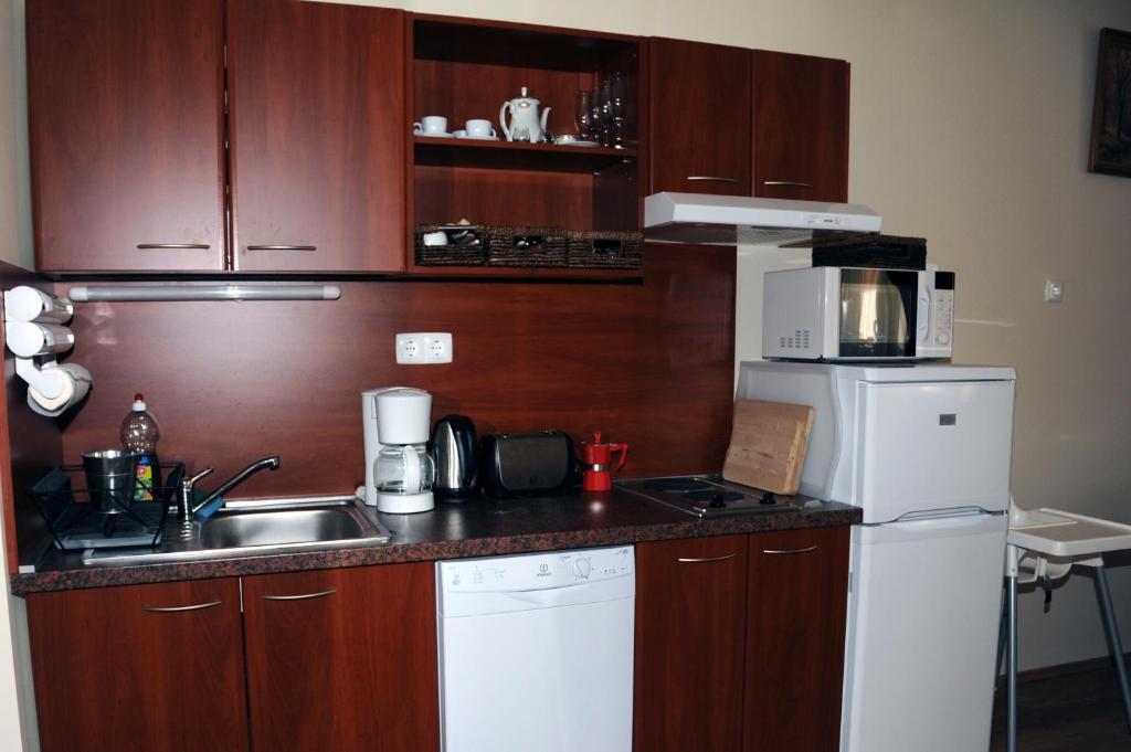 Arany Szolo Wellness Apartmanhaz ヘーヴィーズ 部屋 写真