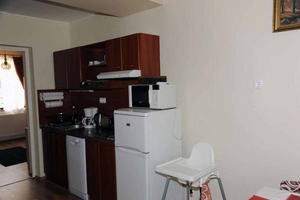 Arany Szolo Wellness Apartmanhaz ヘーヴィーズ 部屋 写真